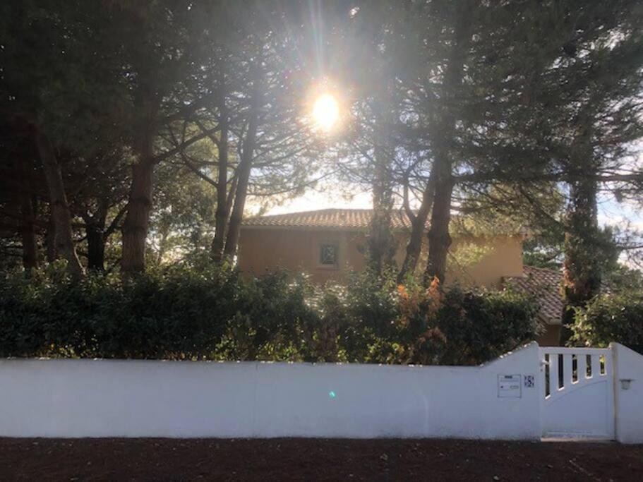 Villa Arethuse - Pyla Sur Mer Экстерьер фото